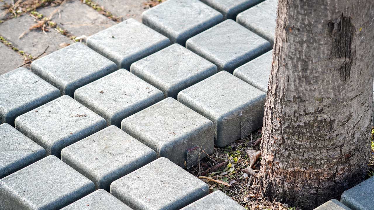 FAQs: How to adapt the Tree Grate Way to your project in minutes?