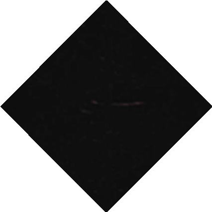 Black <br> Color